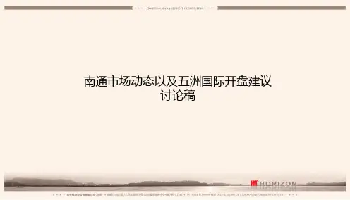 南通市场动态以及五洲国际项目开盘建议讨论稿