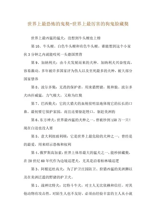 世界上最恐怖的鬼獒-世界上最厉害的狗鬼脸藏獒