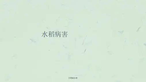 水稻病虫害课件