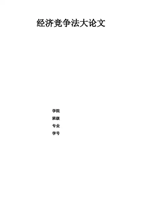 经济竞争法大论文