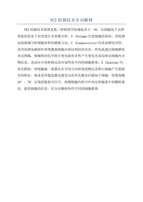 VCS检测技术名词解释