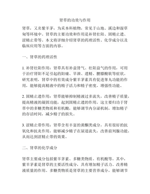 肾草的功效与作用