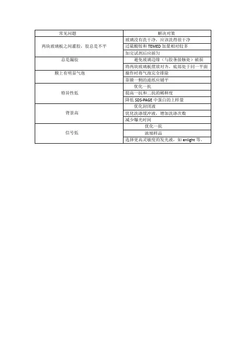 western-blot过程中常见问题及解决对策