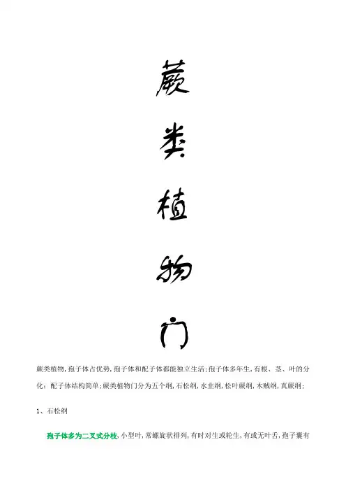 蕨类植物图鉴