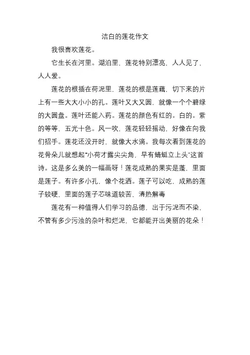 洁白的莲花作文