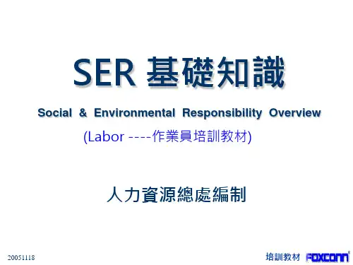 SER 基础知识