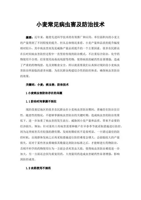 小麦常见病虫害及防治技术