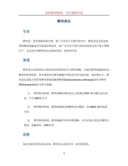 酵母表达(1)