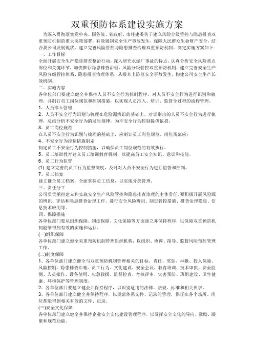 双重预防体系建设实施方案