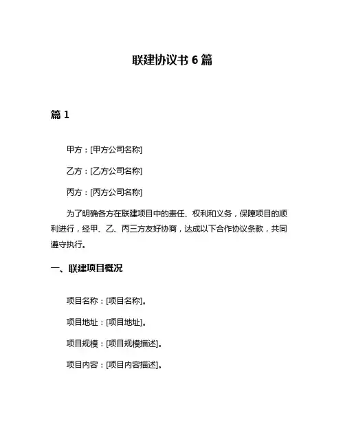 联建协议书6篇