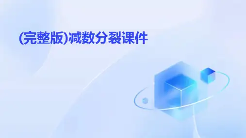 (完整版)减数分裂课件
