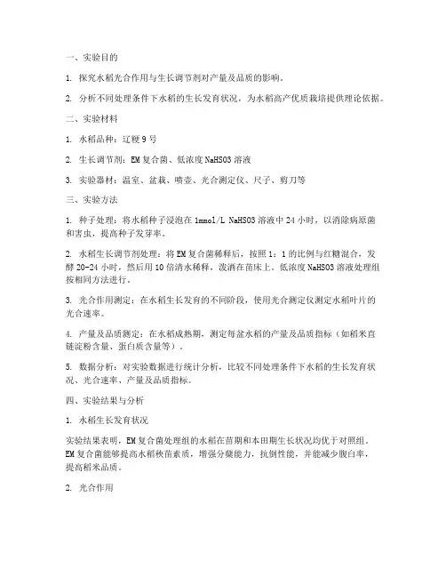 水稻的实验报告