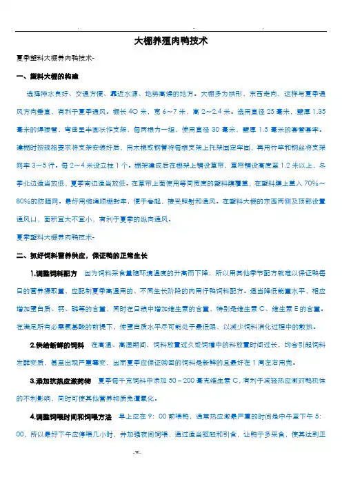 大棚养殖肉鸭技术