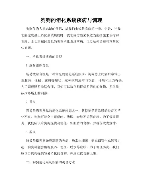 狗狗的消化系统疾病与调理