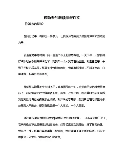 孤独者的救赎高考作文