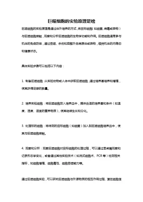 巨噬细胞的实验原理是啥