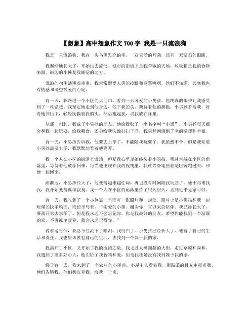 【想象】高中想象作文700字 我是一只流浪狗