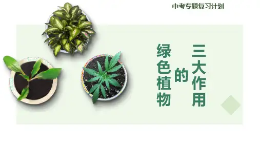 专题：植物的生活-绿色植物的三大作用(精品课件)2023年中考生物二轮精准高效复习
