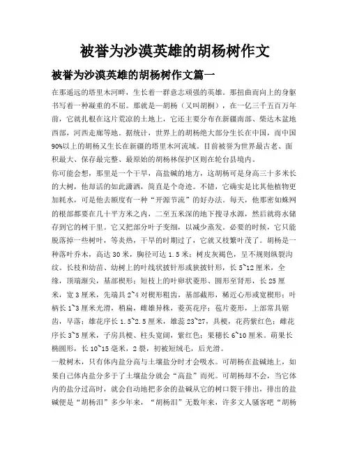 被誉为沙漠英雄的胡杨树作文