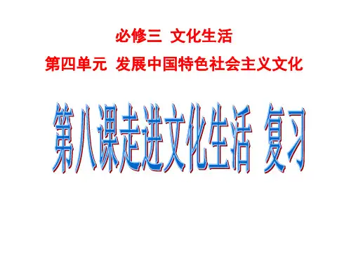 文化生活第八课一轮复习课件