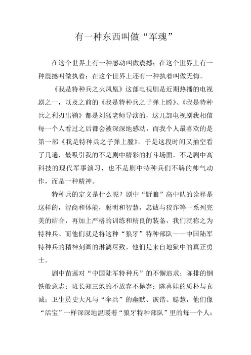有一种东西叫做“军魂”