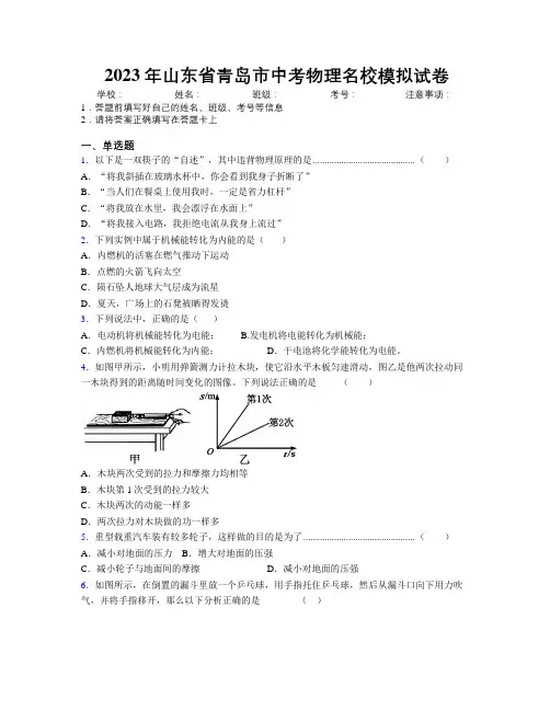 2023年山东省青岛市中考物理名校模拟试卷及解析