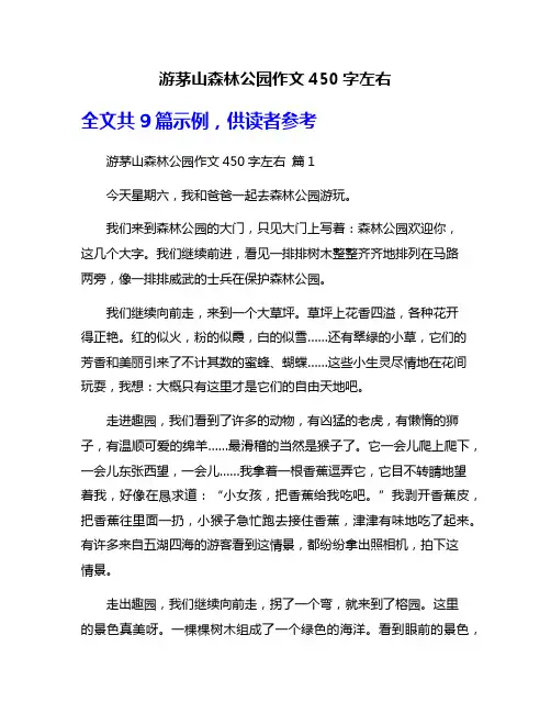 游茅山森林公园作文450字左右
