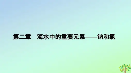 新教材2023年高中化学第2章 第1节钠及其化合物第2课时氧化钠和过氧化钠课件新人教版必修第一册