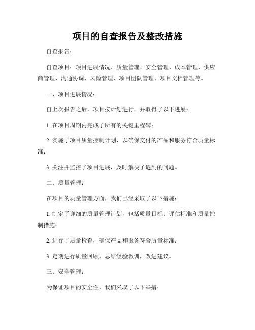 项目的自查报告及整改措施