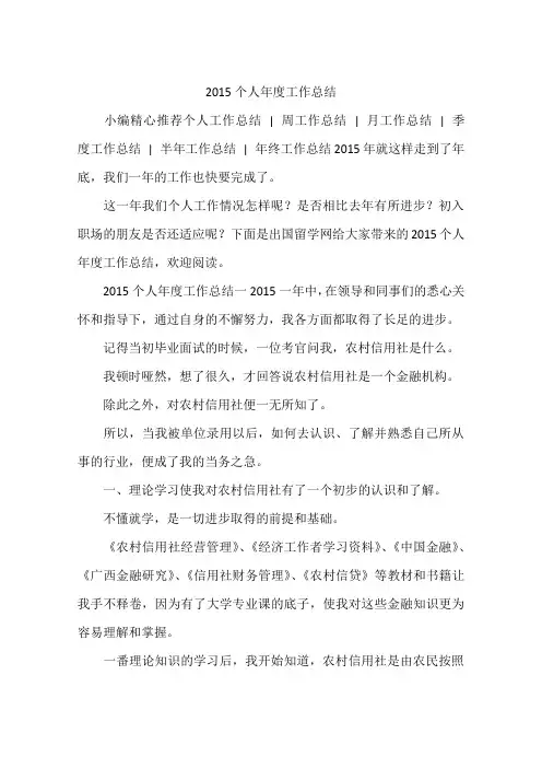 2015个人年度工作总结