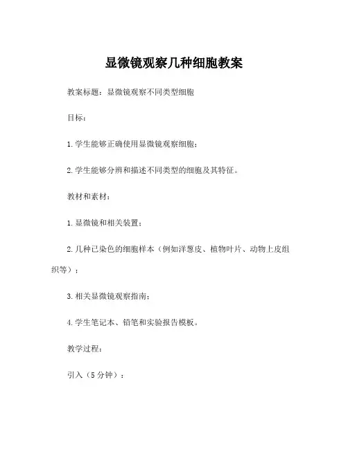 显微镜观察几种细胞教案