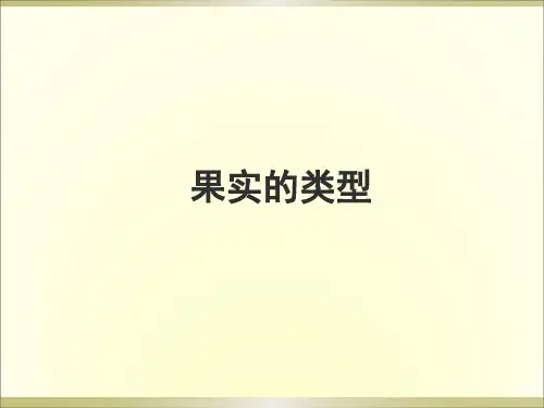 果实的类型