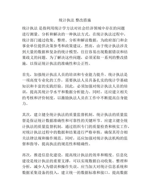 统计执法 整改措施