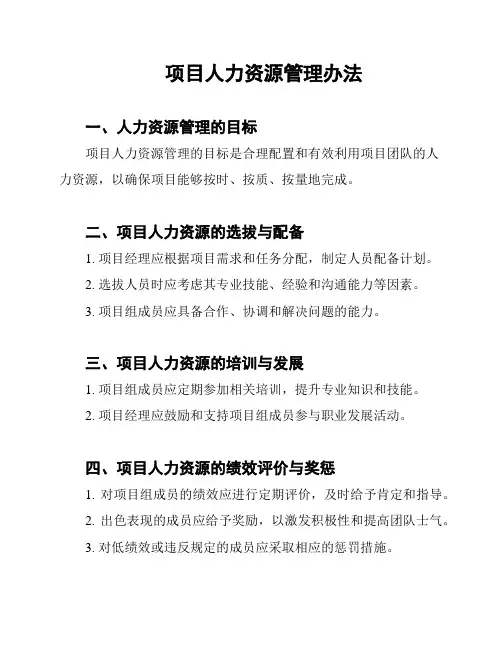 项目人力资源管理办法