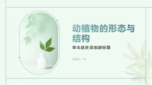 动植物的形态与结构