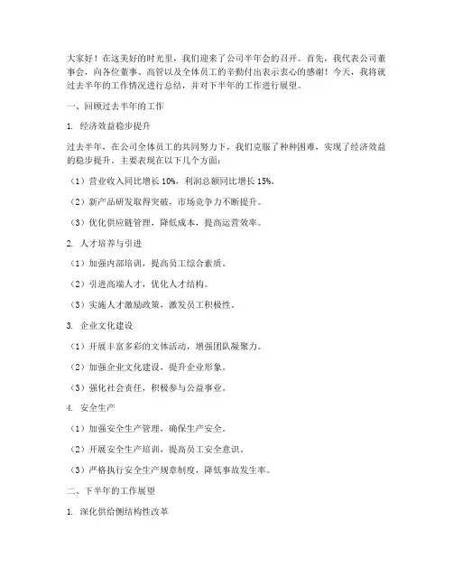 董事长半年会总结发言稿