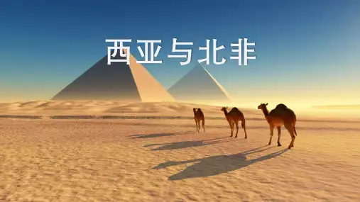 高考地理一轮复习课件 区域地理之西亚与北非