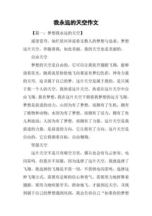 我永远的天空作文_1