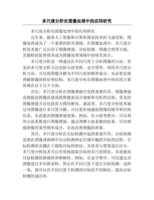 多尺度分析在图像处理中的应用研究