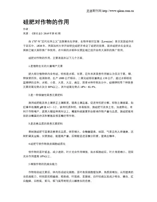 硅肥对作物的作用