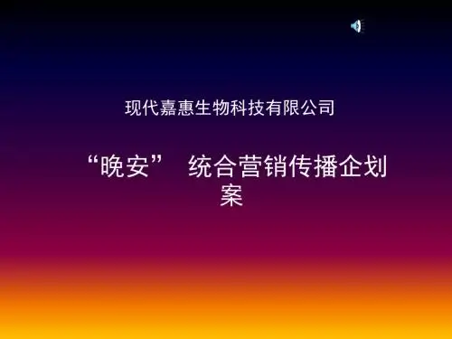 整合营销传播策略推广案-PPT精选文档