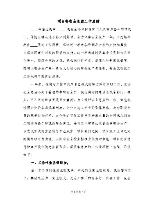项目部安全总监工作总结（2篇）