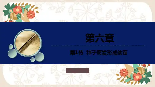 6.1种子萌发形成幼苗教学课件北师大版生物七年级上册【03】