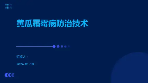 黄瓜霜霉病防治技术