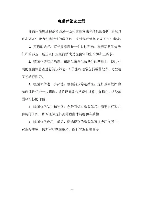 噬菌体筛选过程