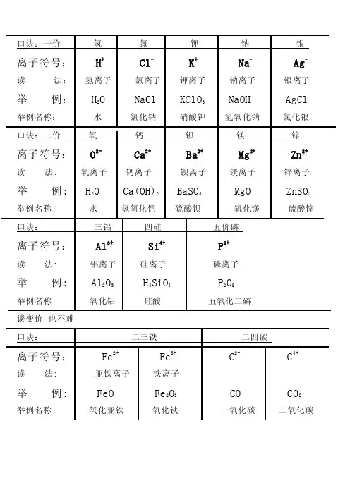初中常见离子符号及实例