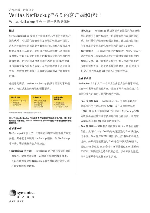 Veritas.NetBackup新一代数据保护解决方案