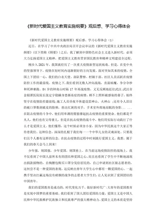 《新时代爱国主义教育实施纲要》观后感、学习心得体会