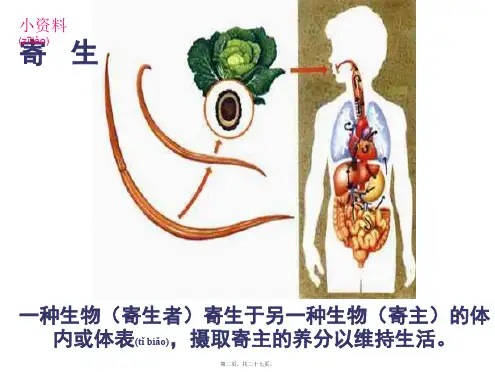 医学专题肠道寄生虫病