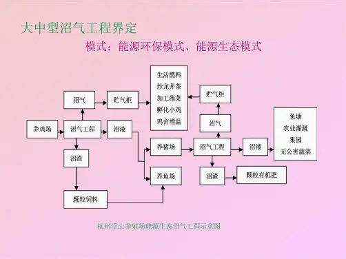 大中型沼气工程技术及项目设计ppt(共71张PPT)